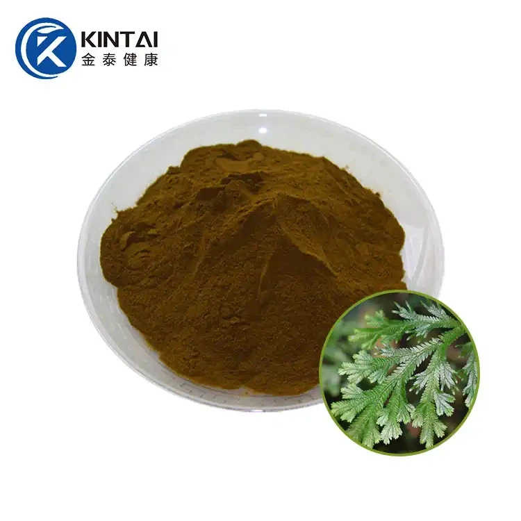 Púdar Amentoflavone