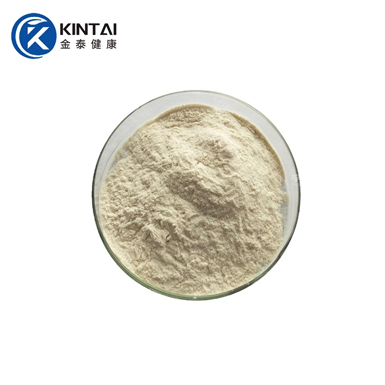 Púdar Coipthe Natto Nattokinase