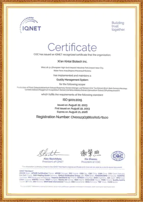 Kintai GMP