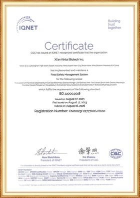 Kintai IQNET ISO 90012018
